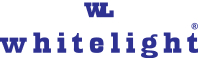dysney logo